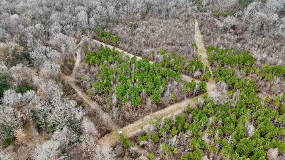 Hunting Property with a Camp and a Great Homesite featured image
