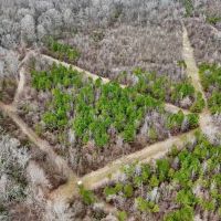 Hunting Property with a Camp and a Great Homesite