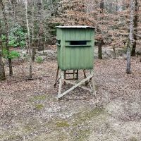 Hunting Property with a Camp and a Great Homesite images 3