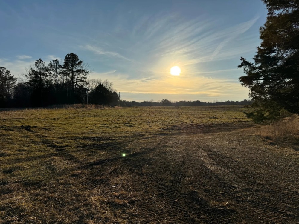147 Acres in Marshall County MS featured image