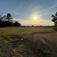 147 Acres in Marshall County MS