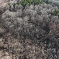 147 Acres in Marshall County MS images 5