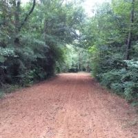 Twin Ponds Secluded Cabin on 39.45 acres images 3