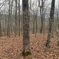 Northwest Arkansas Get-a-way. images 3