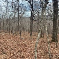 Northwest Arkansas Get-a-way. images 4