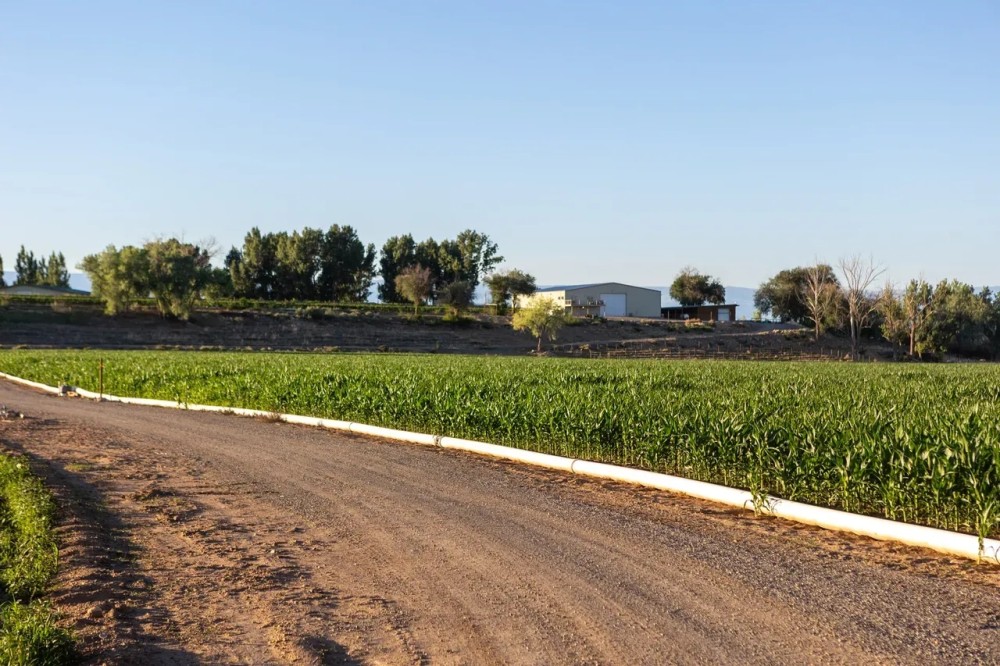 Farm and Ranch Acreage with Shop Berkeley Estates featured image