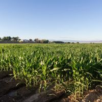Farm and Ranch Acreage with Shop Berkeley Estates images 2