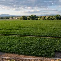 Farm and Ranch Acreage with Shop Berkeley Estates images 4