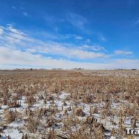 Pure Cycle Farm For Sale