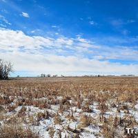 Pure Cycle Farm For Sale images 2