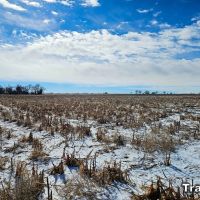 Pure Cycle Farm For Sale images 3