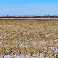 Pure Cycle Farm For Sale images 5