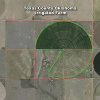 780 Acre Clay Farm For Sale