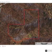 Timber Recreation images 4