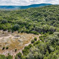 131 Acres Real County