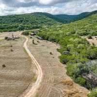 131 Acres Real County images 5