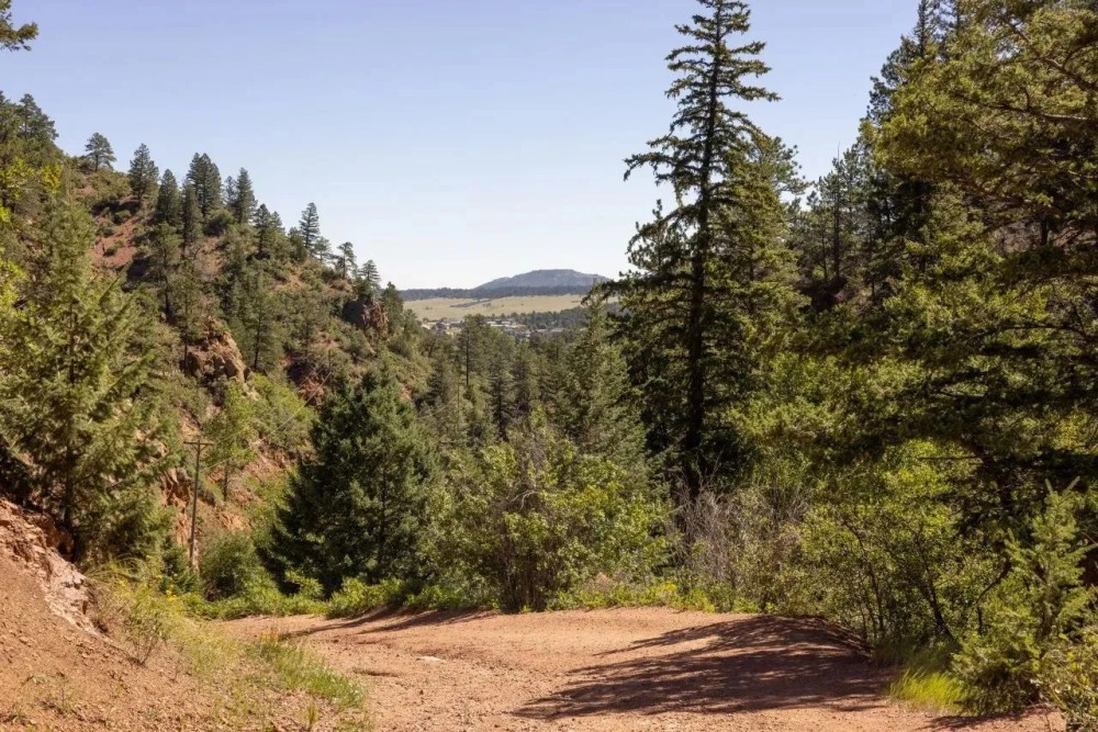 Palmer Lake Retreat featured image