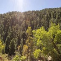 Palmer Lake Retreat images 5