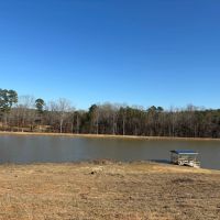 20 Acres in Lafayette County MS images 2