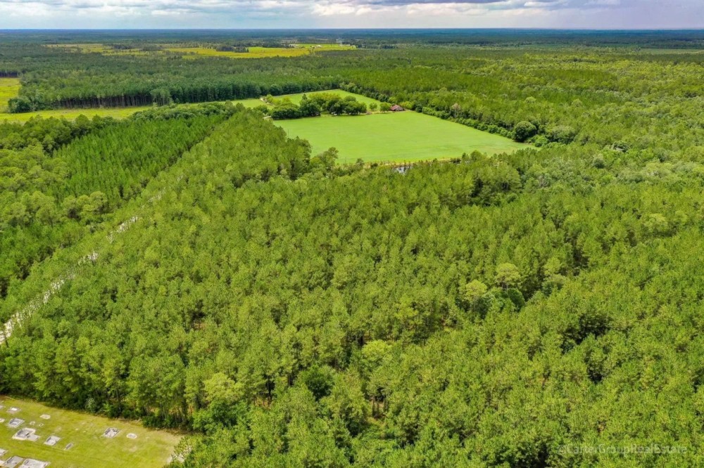 23 Acres on Camp Branch Rd in Ware County GA featured image