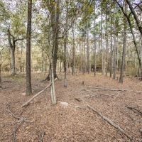 High Fence Hunting 3 Lodges 6 Cabins Acadia Parish LA images 2