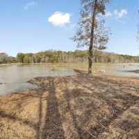 High Fence Hunting 3 Lodges 6 Cabins Acadia Parish LA images 3