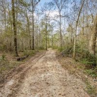 High Fence Hunting 3 Lodges 6 Cabins Acadia Parish LA images 4