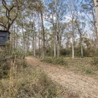 High Fence Hunting 3 Lodges 6 Cabins Acadia Parish LA images 5