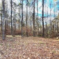Great Small Hunting Tract or Homesite in Franklin County MS images 3