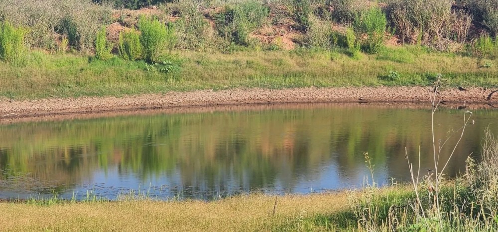 Texas Land for sale near San Angelo Robert Lee and Midland featured image