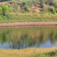 Texas Land for sale near San Angelo Robert Lee and Midland