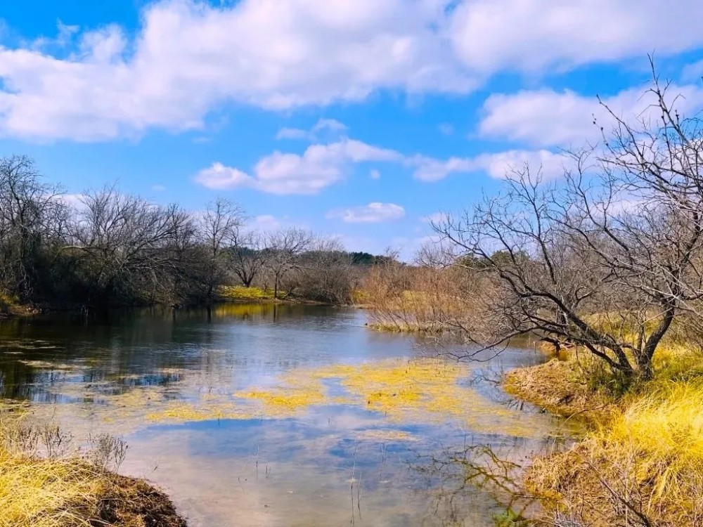25 - Acres….Large surface tank Oaks Views Hunting featured image
