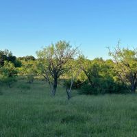 25 - Acres….Large surface tank Oaks Views Hunting images 5