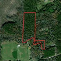 13.31 acre Secluded Building Lot for Sale in Chatham County NC