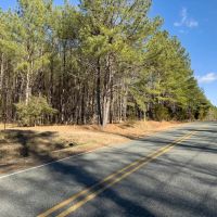 13.31 acre Secluded Building Lot for Sale in Chatham County NC images 4