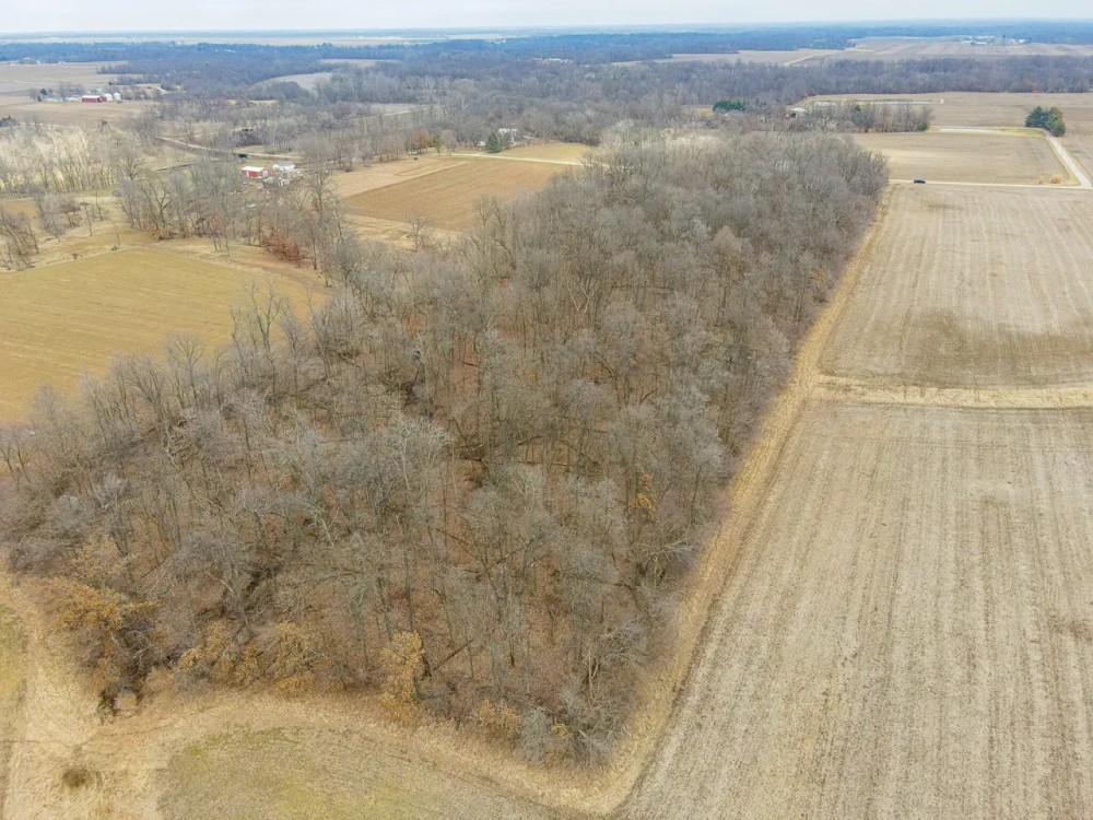 Eminent Domain 10.77 featured image