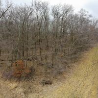 Eminent Domain 10.77 images 2