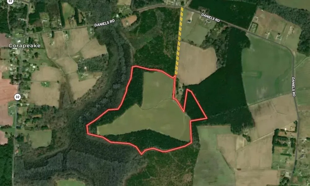 82.44 Recreational and Agricultural Land in Gates County NC featured image