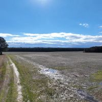82.44 Recreational and Agricultural Land in Gates County NC images 2