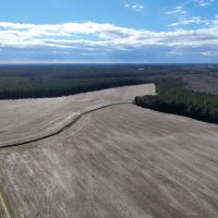 82.44 Recreational and Agricultural Land in Gates County NC images 3