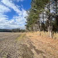 82.44 Recreational and Agricultural Land in Gates County NC images 4