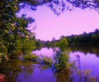Millwood State Park 824 acres Deer Hunting Land in Miller, AR images 3