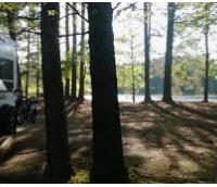 Millwood State Park 824 acres Deer Hunting Land in Miller, AR images 5