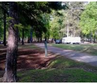 Millwood State Park 824 acres Deer Hunting Land in Miller, AR images 6