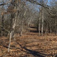 Runyan Tracts- 600 - Acres images 3