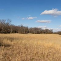 Runyan Tracts- 600 - Acres images 5