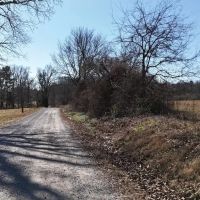 Cullman County AL Mini-Farm Lot 3 images 4