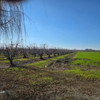 Fox Lee Ranch Investment Opportunity Andrus Island CA images 2