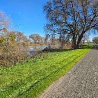 Fox Lee Ranch Investment Opportunity Andrus Island CA images 5