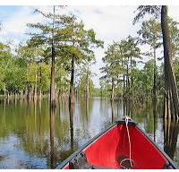 Turkey Hunting Moro Bay State Park 117 acres in Bradley, AR images 3